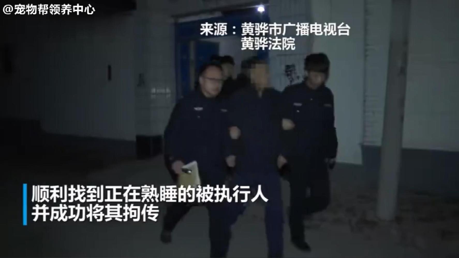 大金毛大义灭亲，带着警察叔叔抓老赖主人，遵法守法，好好做人！