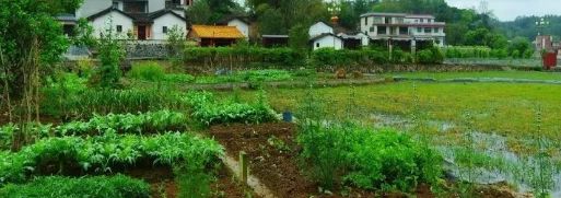 很多五台人在城里打拼并安家，为什么还要在农村老家留套房