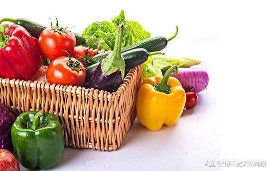 养狗的注意了，如果做不到这几点，就是“害了”它