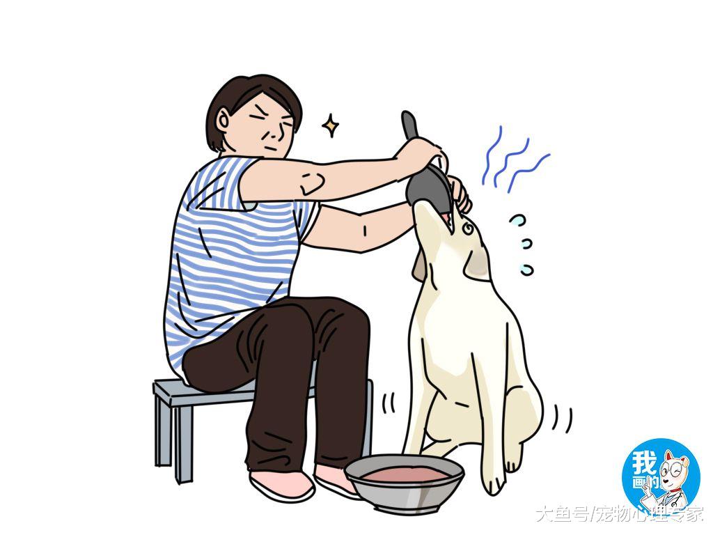 老远看到位大妈以为在虐狗，观察后懵了：似曾相识的画面