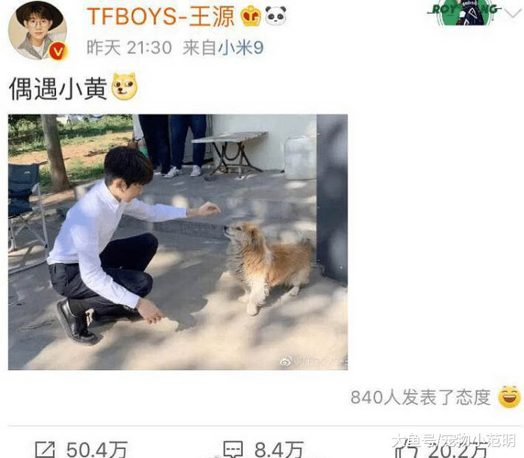 王源不仅学坏还恋上杨超越？盘点两人可能在一起的现象！