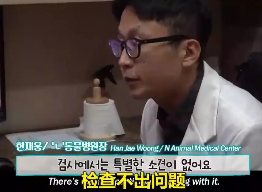 哭着送重病狗子去医院，但医生：没病，就是演技太好了！