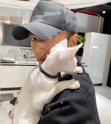 谢霆锋化身猫奴带爱宠上班，怀抱猫咪眼神宠溺，超温馨有爱