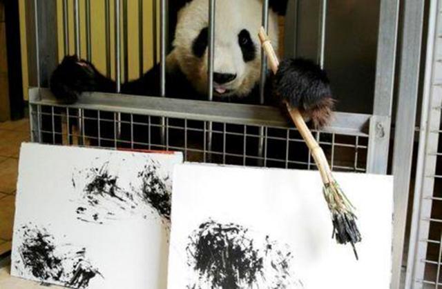 柴犬拥有杰出艺术天赋, 主人试着教导爱犬学绘画, 如今一画千元!