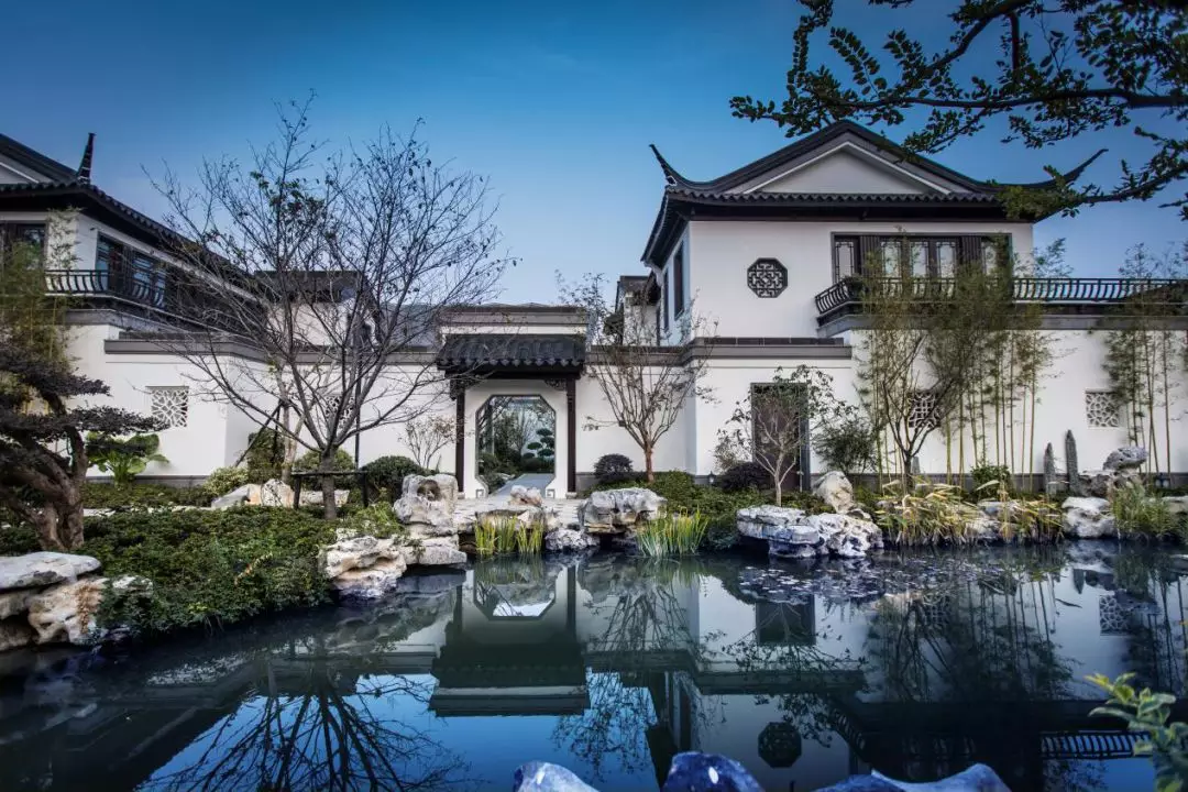 美好 如7而遇|从慕名到惊叹！玫瑰园和桐华郡用什么征服了亳州？