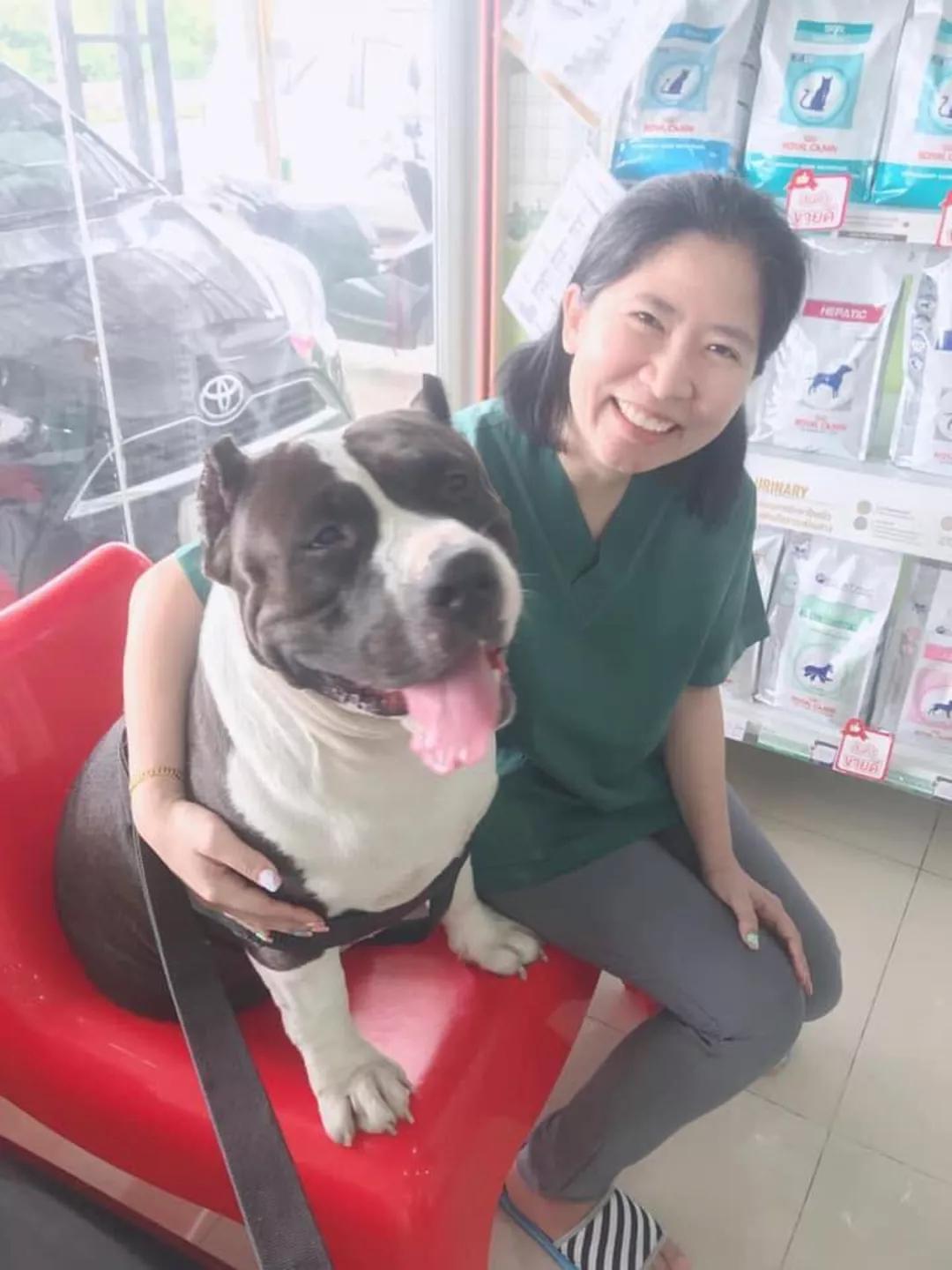 狗狗突然吐出小黄鸭，拍片发现肚里还有32只，兽医：胃口真好