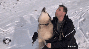 主人带“胖儿子”去玩雪，它们却暴露了本性，在呼唤同伴吗？