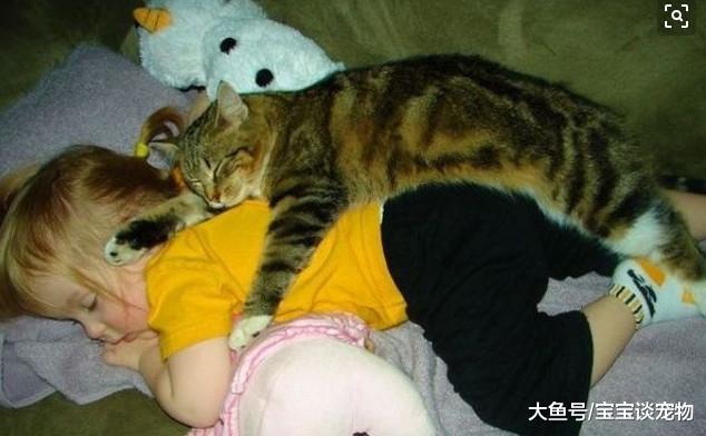 主人半夜上厕所，发现宝宝不见了，赶去客厅一看笑出内伤：真和谐