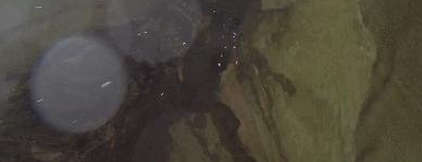 一家五代人隐居山洞百年不肯搬：城里人没这个福气