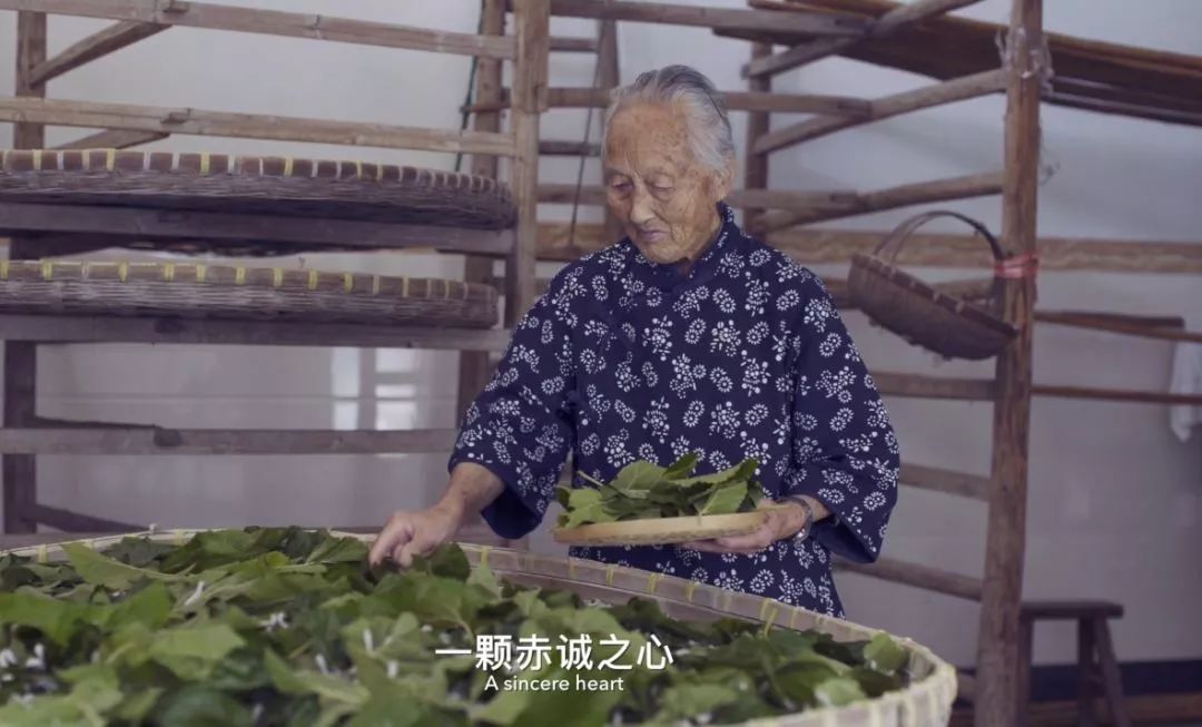 “棉花被”和“蚕丝被”哪个好？当初不懂，后悔我家买错 ……