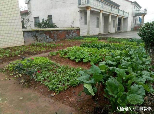 78万的农村自建房，菜园庭院停车场一个不少，最爱后院的大鱼塘！