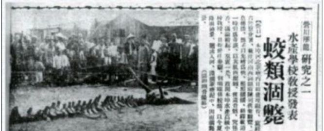 龙是否存在？关于龙的一些事件，你了解多少