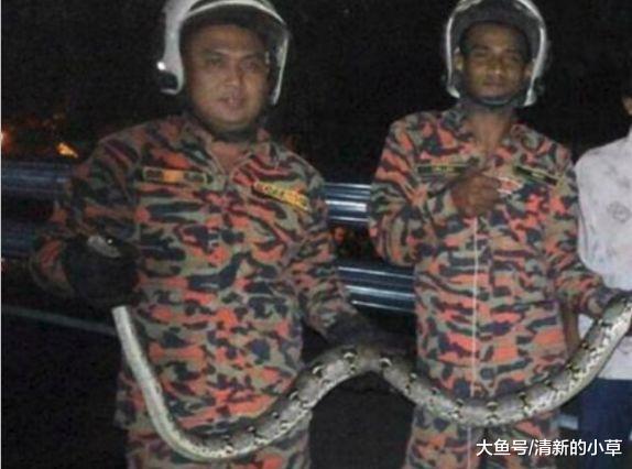 女子半夜小便，听见声音不得劲，开灯一瞧瘫在地