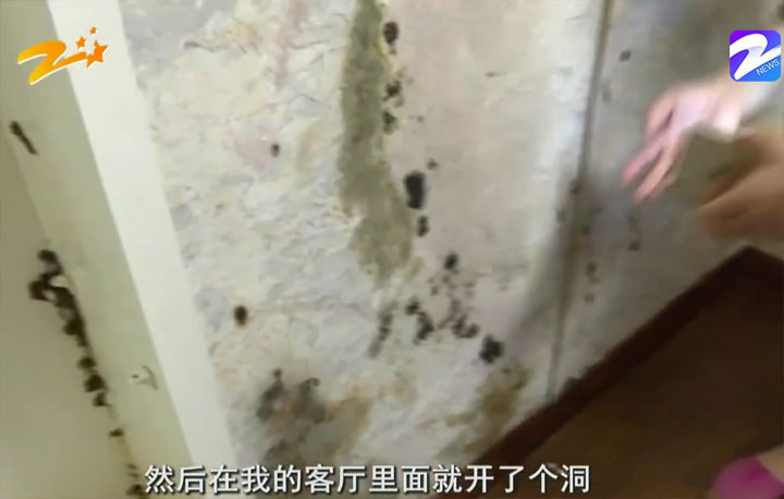 购房置业|女子花毕生积蓄买房,却要每天在家打虫子:都是物业干的好事