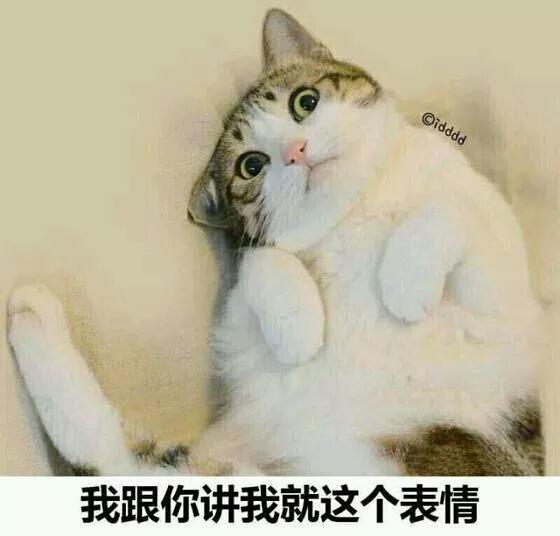 萌宠表情包，都不忍心斗图了
