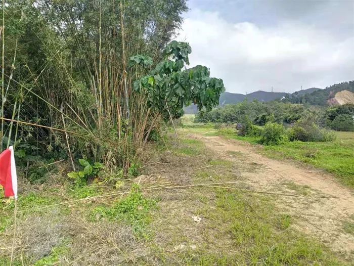 起始总价5.56亿！11月27日，?深汕合作区将出让5宗地