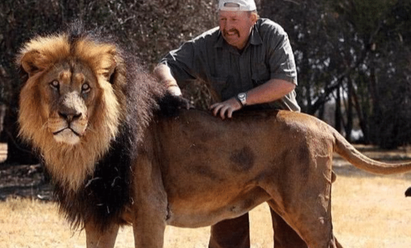 世界上最凶猛最珍贵动物, 全球不到120只, 中国没有1只