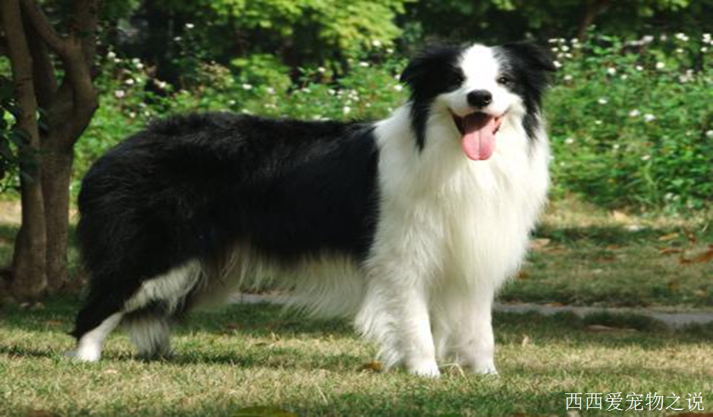 传统训练的方法和正向训练的方法的区别