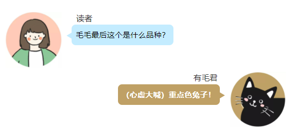 挖煤工脸可不是猫咪专属，TA还有这些小伙伴们！