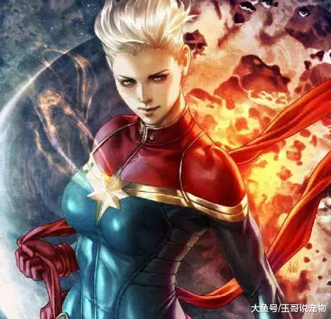 漫威电影五大女英雄排行, 寡姐只能靠身材垫底, 榜首让你意想不到