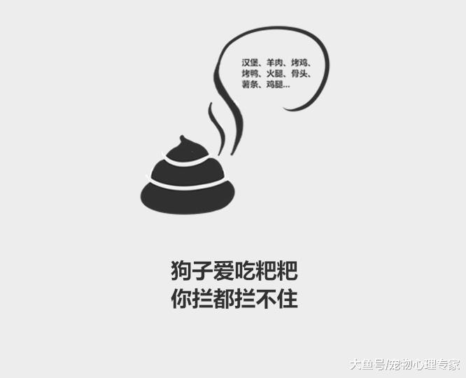 分分钟了解宠物知识——为什么狗会吃粑粑