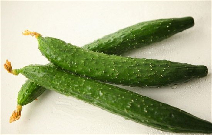 赛鸽健康成长，加强体质的小技巧——果蔬汁