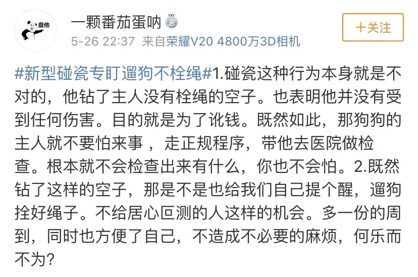 碰瓷界的跨物种专家：他只挑狗狗当对手