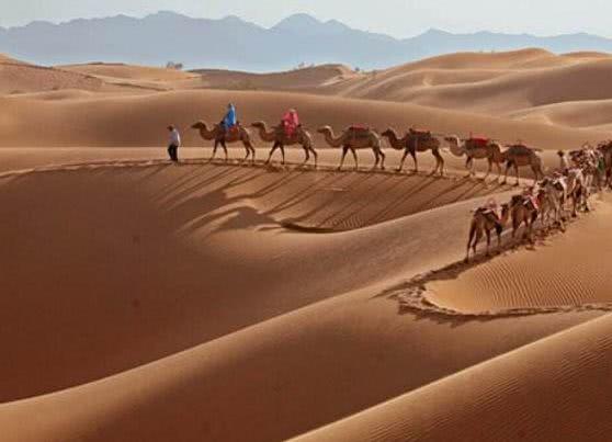 有一种鱼，生命力顽强，在沙漠生活了5万多年还没有灭绝