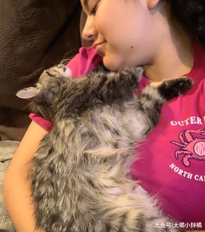 小猫主动吸引女孩注意，旁边狗子吼叫挑衅，被收养后跟狗子杠上了