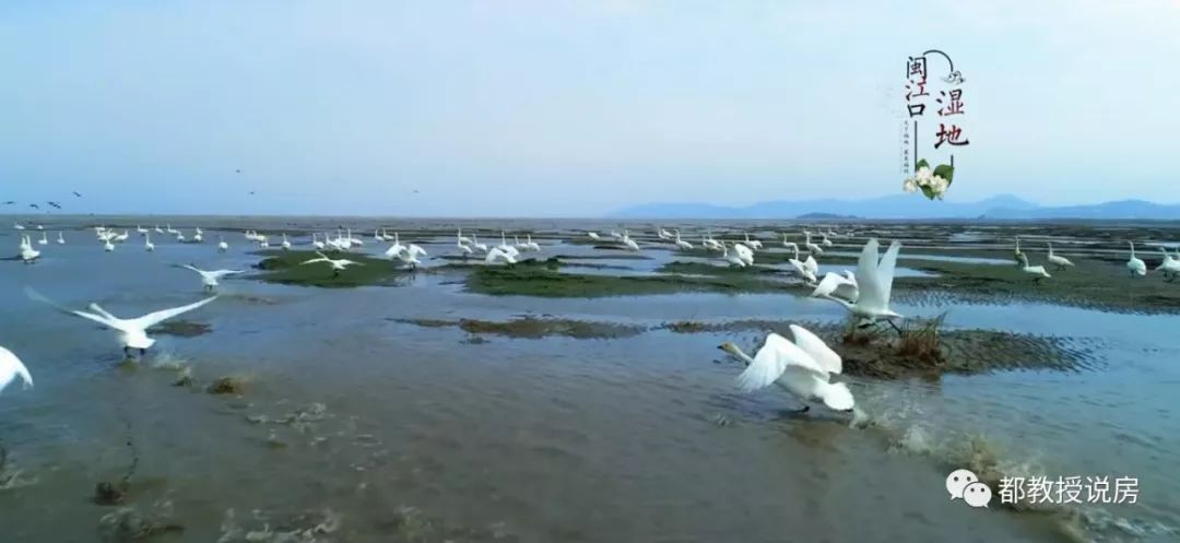 从MV画面看福州，五年时光沧海桑田