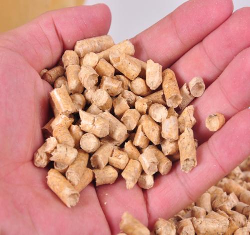 极限挑战5告诉你，猫砂是干垃圾不能再从楼上扔下去了