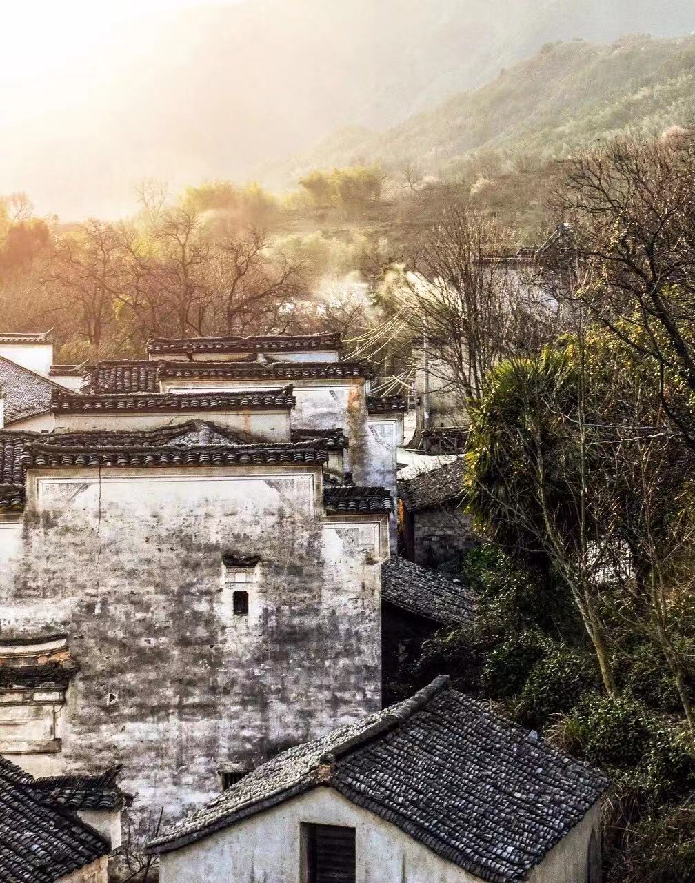 上海社保五年限购解禁的第一批，现在都怎么样了