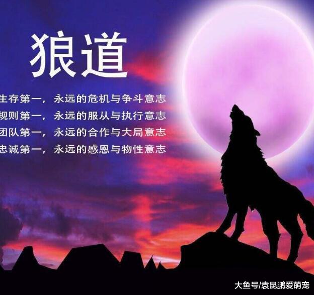 男人别迷失于手机，趁年轻熬夜读懂这5本书，提高情商培养执行力