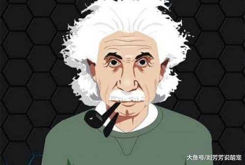 带狗狗去做柔顺，看到成品后主人忍不住了：这叫谁受得了？