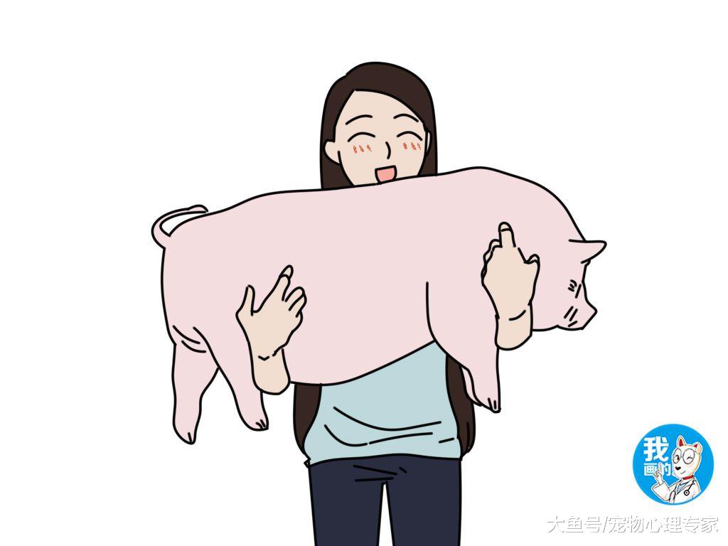 国外一女子养了一只宠物，异常宠爱，只是这身形是不是大了点？