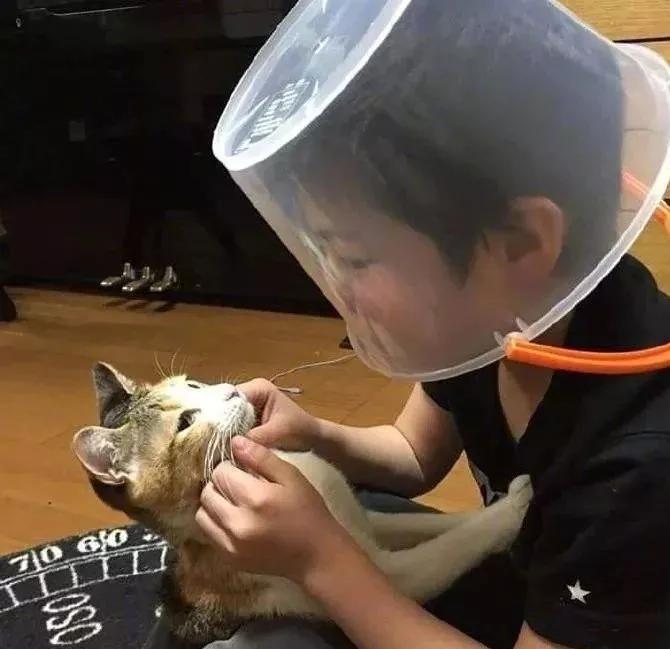 小铲屎官撸猫，被主子挠了一次以后……