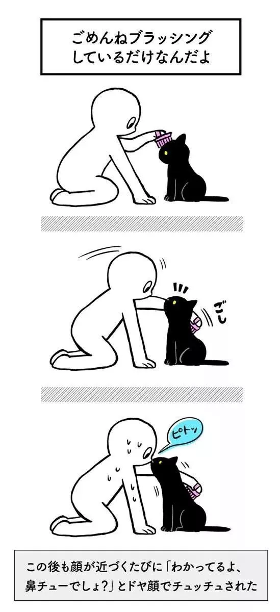 这只猫戏实在太多了，已经到了自作多情的地步…