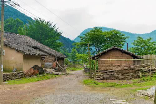 如果你认为村长是一个官员, 那你就错了。想了解就好好看看。