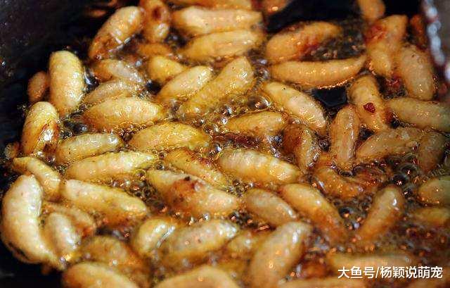 生猛！老挝的早市摆满野味，什么动物都有，网友：看过之后想吐