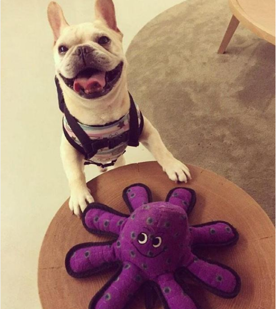 王心凌晒出在台湾住的豪宅，在家喜欢下厨做饭，一看就知是好女人