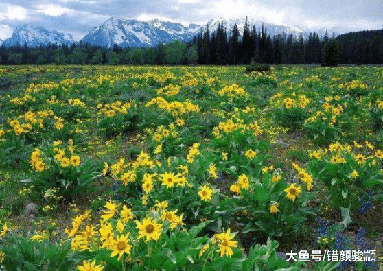 人生没有如果, 只有后果和结果