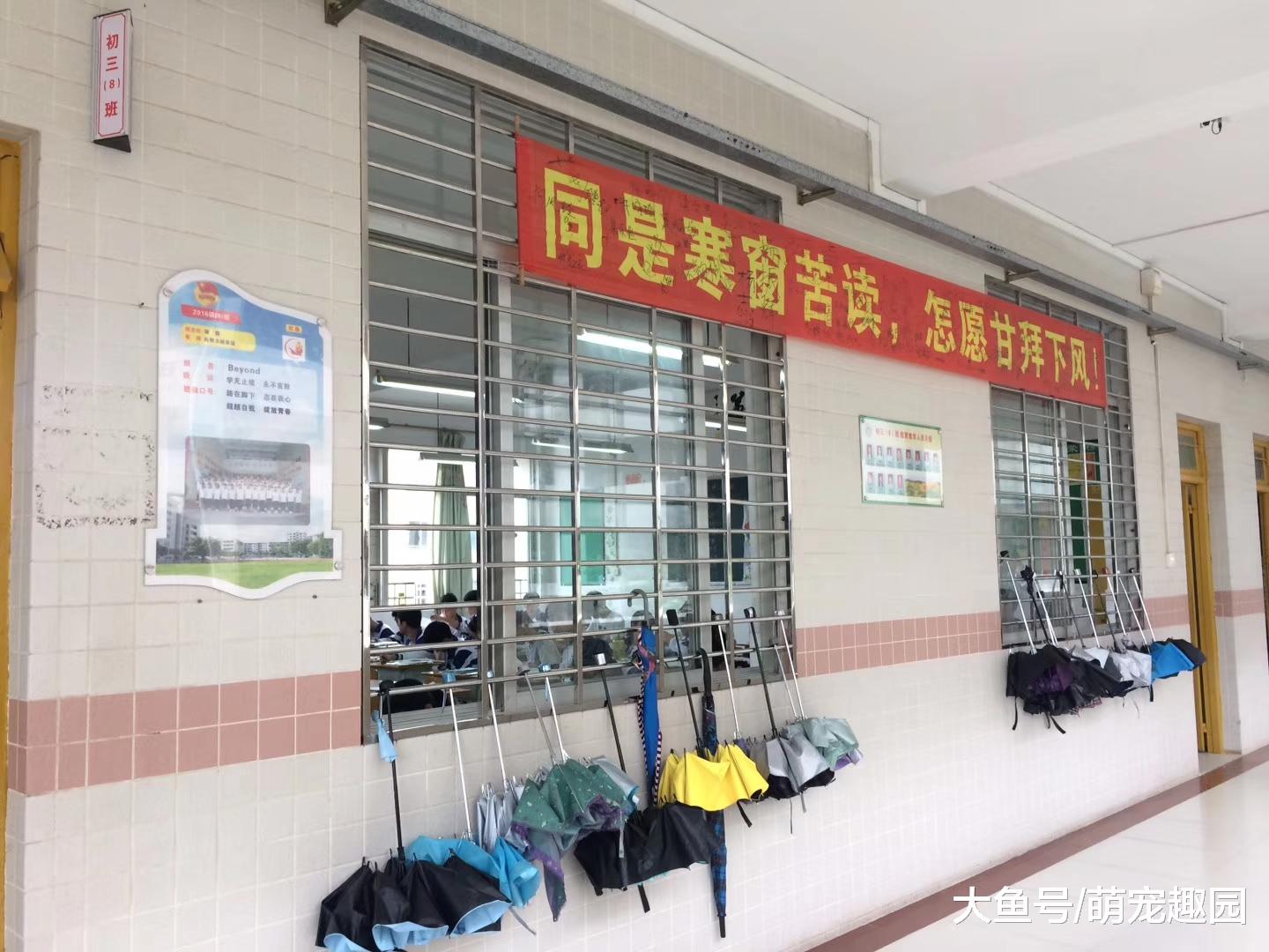 跳皮学生毕业二年回母校炫耀