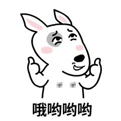 动物咖啡馆再添新成员，猫头鹰味的可以“尝尝