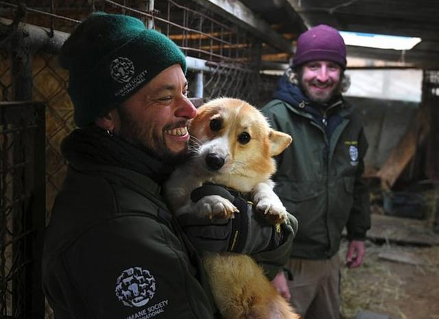 繁殖場環境惡劣，動保組織出手營救狗狗，讓200只狗狗獲得自由