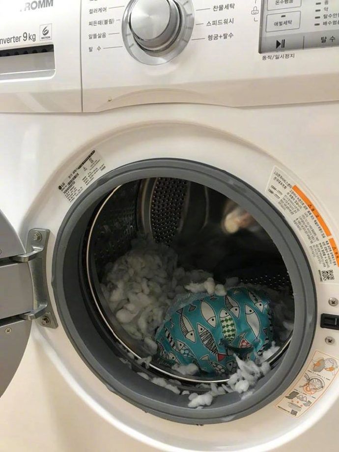 猫咪也有夫妻相吗？