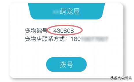 全国数百家宠物店都在做这件事——营业额翻倍, 做到这点就够了!