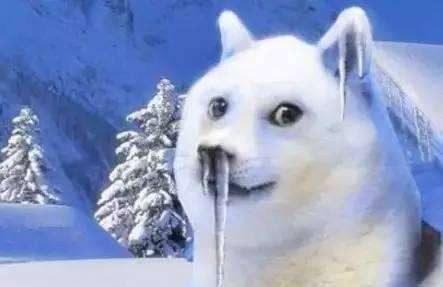 寒潮黄色预警，全省大部地区降温幅度10～12℃！