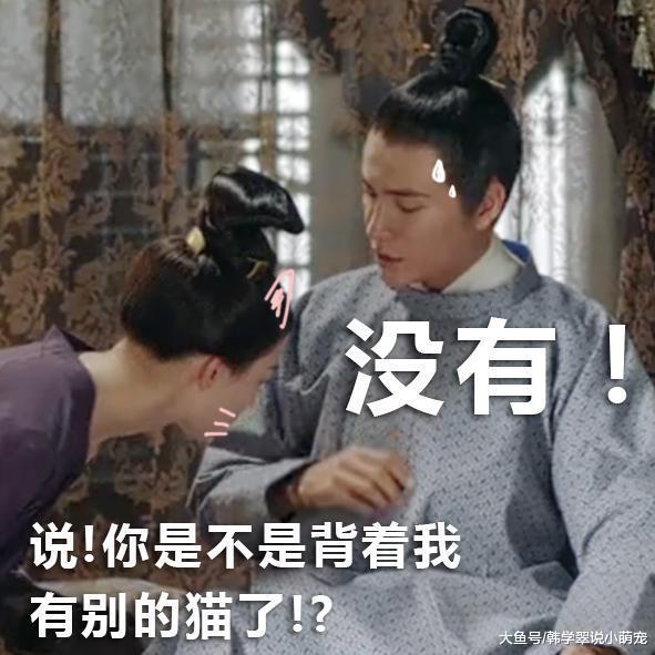 猫奴宁弈崩溃大哭，这种痛只有铲屎官才懂！