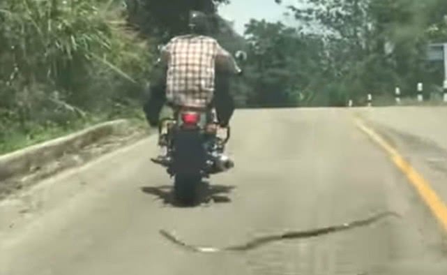 小哥半路行驶遭毒物攻击，幸运躲过，回到家心情都难以平复