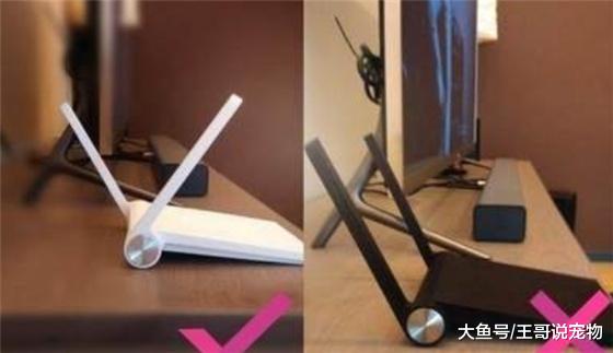 [路由器]路由器旁不要放这两样东西，不然百兆宽带也卡！